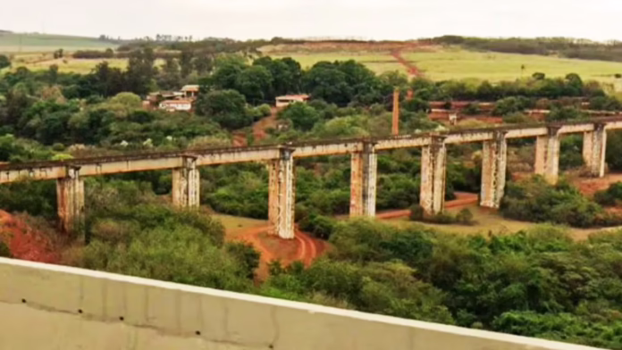 3 người đàn ông Brazil bị buộc tội sau khi người phụ nữ bị ném khỏi cầu vì không có dây an toàn

