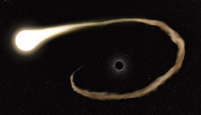 Black Hole Eating a Star