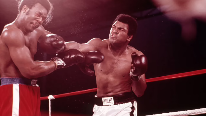 Cháu trai của Muhammad Ali, Nico Ali Walsh gửi tin nhắn tới Dana White của UFC về dự luật mang tên ông nội
