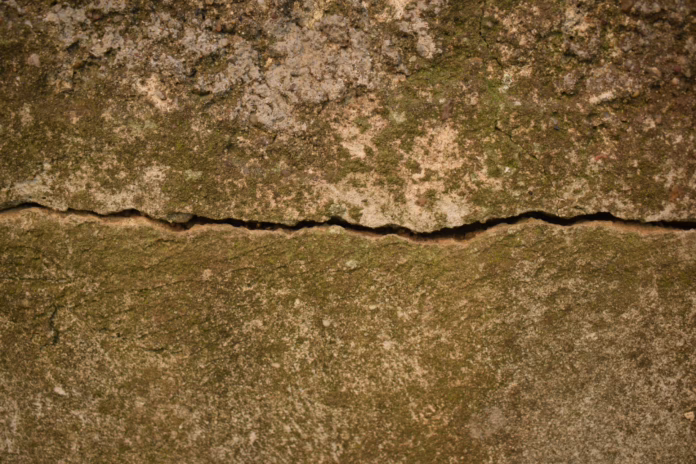 A Close Up of Crack on Mossy Concrete